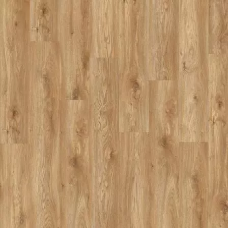 Кварцвиниловая плитка Moduleo Roots 55 EIR 58346 Sierra Oak клеевая